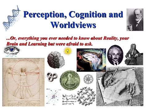 cb01 perception|Perception – Cognition.